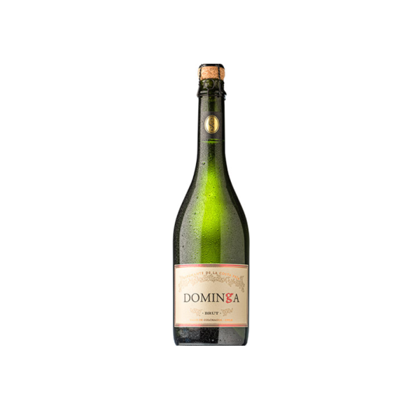 Espumante Dominga Brut 750cc 11º