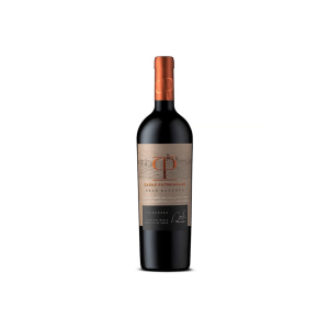 Vino Casas Patronales Gran Rva Carm 750cc 14º VINO