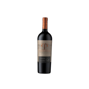 Vino Casas Patronales Gran Rva Merlot 750cc 14º VINO