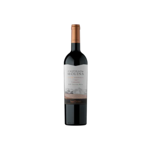 Vino Castillo Molina Rva Carm 750cc 14º VINO