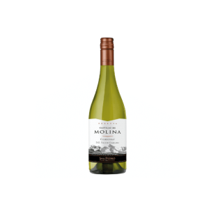 Vino Castillo Molina Rva Char 750cc 14º VINO