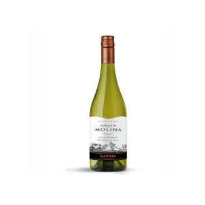 Vino Castillo Molina Rva SB 750cc 14º VINO